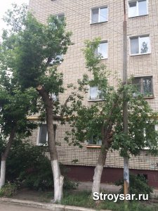 ООО «Прогресс» кронировало деревья и очистило подвалы в домах на ул. Мира