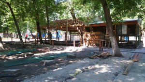 В сквере Дружбы народов демонтировали зоопарк. Страусы остались в Саратове