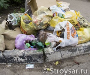 Глава Заводского района заинтересовался мусором в скверах
