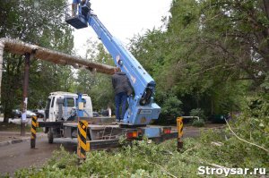 ТСЖ «Черемушки» уничтожает деревья в Ленинском районе