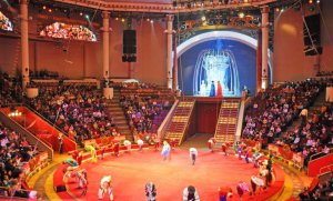 Экспертизу проекта нового пензенского цирка проводят в Саратове