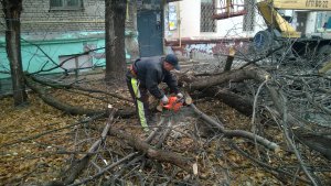 По просьбе жителей УК «Авиатор» опилила деревья во дворе дома в Заводском районе Саратова