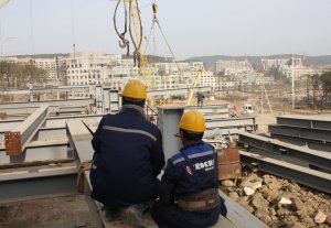 Некоторым строительным фирмам в России разрешили нанимать рабочих из Турции
