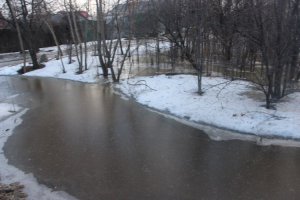 Пострадавшая от потопа жительница Балашова: «Вся улица как тонула, так и тонет»