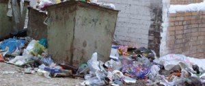Полномочия по сбору и вывозу мусора в Саратове передадут коммерческой организации