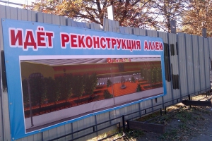 Каштановую аллею у ТЦ «Оранжевый» обещают «реконструировать»
