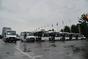 50 новых автобусов выведут на маршруты №№ 2Д, 41, 55А, 83 и другие