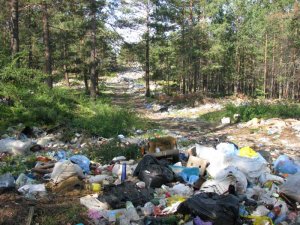 На «Карте свалок» зафиксированы 142 саратовские мусорки