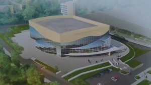 СМИ: концессионер Дворца водных видов спорта в Саратове объявил о дефолте