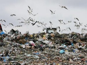 СНТ обязали заключить договор на вывоз мусора
