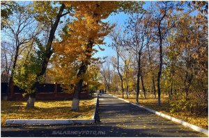 Жители Балашова могут остаться без парка с попустительства местных властей