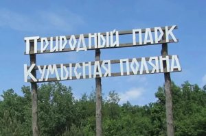 ОП области проигнорировала обращение ОНФ о создании «зеленого щита» вокруг Саратова