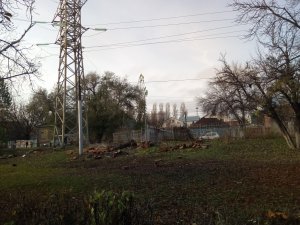 На Астраханской вновь вырубают деревья