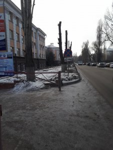 Юрий Васильев: ограничений на опиловку деревьев в морозную погоду нет