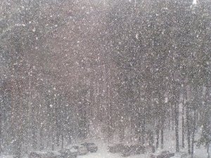 В выходные в Саратовской области работали 650 снегоуборочных машин