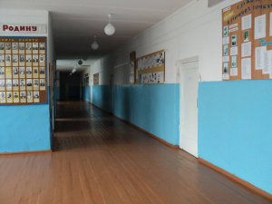 В Саратове в двух гимназиях и школе частично приостанавливаются занятия