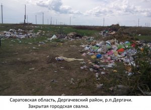 В Дергачевском районе на незаконной свалке обнаружили туши свиней с АЧС