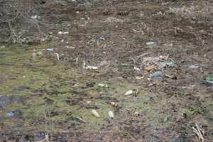 Саратовский пруд утопает в мусоре