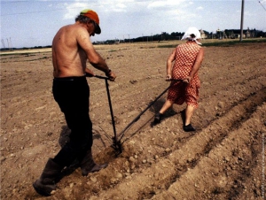 Глава местного отделения «Россельхозбанка»: «При социально ориентированном бюджете сельское хозяйство не выдержит»