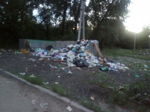 Саратов продолжает «зарастать» мусором