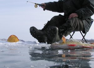 Двоих рыбаков спасли с дрейфующей льдины