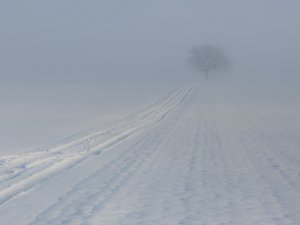 В области туман и сильный снег