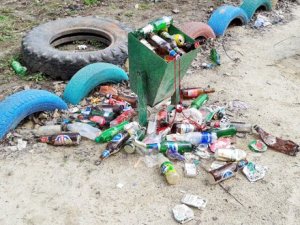 В Саратове проверят своевременность высоза мусора