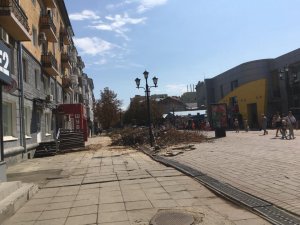 На проспекте Кирова пилят деревья