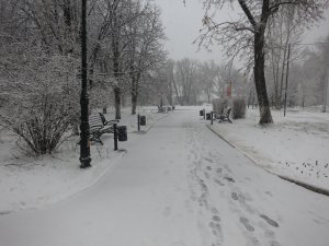 Весна в Саратове: снегопад, метель, ветер