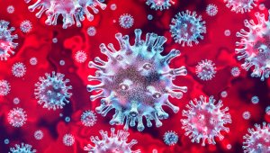 «Сомнительный» результат на коронавирус выявлен у одного из врачей