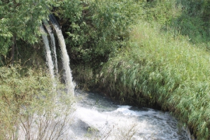 Балашовскому ООО «ГУК» запретили пользоваться водой из Хопра