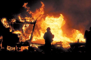 Сквер аттракционов и зверинец в Заводском районе пытались сжечь