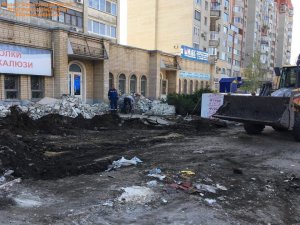 Саратовцы: в Заводском районе в интересах «Пятерочки» вырубили декоративный кустарник