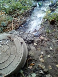 В выходные в Саратове забил еще один фонтан