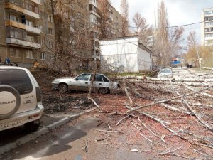 В Саратове из-за ветра падают деревья и столбы