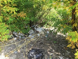 Волжский остров утопает в мусоре