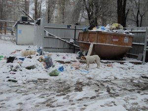 Жители Кавказского проезда, 11 вновь просят спасти их от коммунальной катастрофы