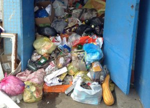 После увеличения тарифа на вывоз мусора Балаково «утонул» в отходах