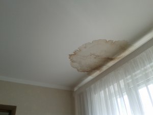 Читатели: ЖСК «Рубин» не ремонтирует потолок в квартире 3 года