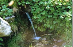 В Ленинском районе родниковая вода соответствует нормам