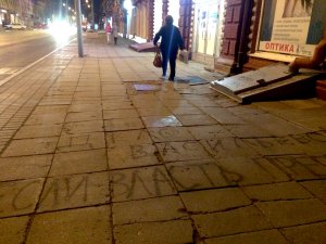 Саратовские уличные художники выразили свое отношение к УДО Евгении Васильевой
