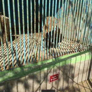 Саратовцы о зверинце в Детском парке: «Зачем так мучить животных?»