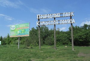 Прокуроры не нашил ответственного за борьбу с пожарами на Кумысной поляне