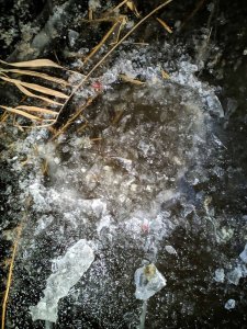 В реке Еруслан обнаружено вмерзшее в лед тело младенца