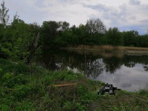 В реке обнаружено тело пропавшего полгода назад мужчины
