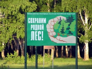 Леса Саратовской области паспортизируют