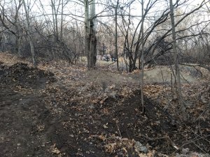 Горожане рассказали об изуродованных деревьях и строительстве непонятного объекта на Кумыске