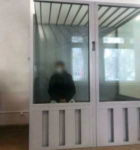 Педофил, жертвой которого стала 15-летняя девочка, заключен под стражу