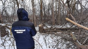 Рабочий погиб под спиленным им деревом