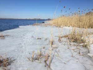 Горожанин погиб во время подводной охоты